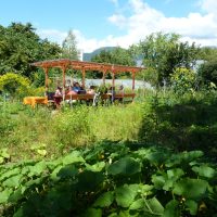 2020-07-08-Le-Jardin-de-la-Poterne