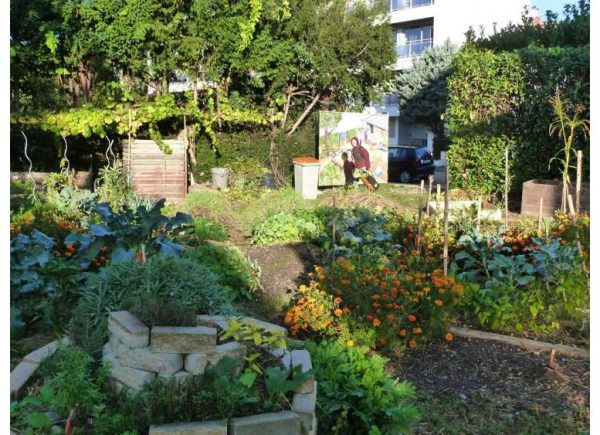 jardin-sanssouci-60e66aa281f7d711742598